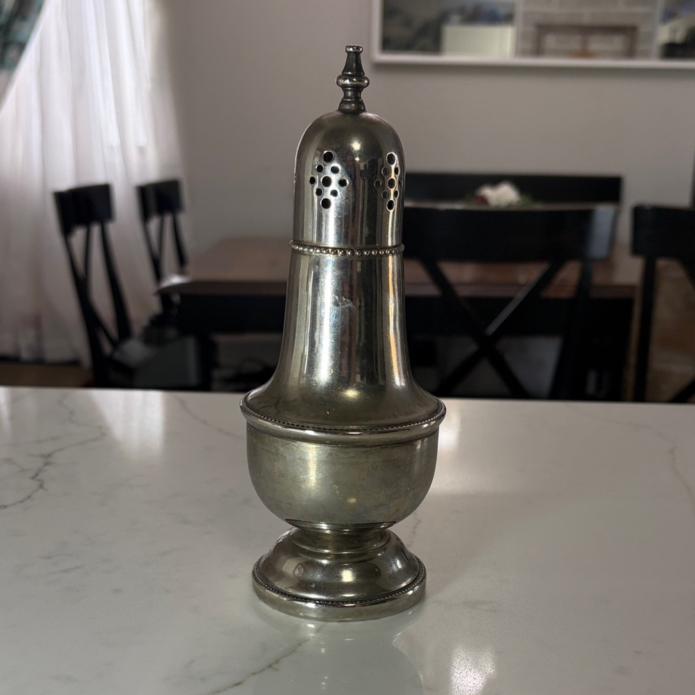 Elegant Silver Salt Shaker